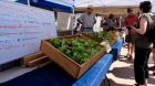 20090801093623031 Santa Fe Farmers Market.jpg