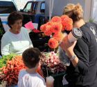 20090801091106013 Santa Fe Farmers Market.jpg