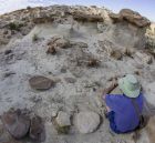 Rio Rancho Hoodoos 2.jpg