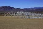 _Bosque del Apache NWR Tour034.jpg