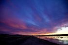 _Bosque del Apache NWR Tour038.jpg